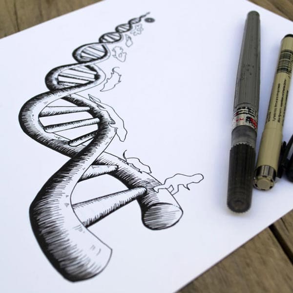 DNA molecule evolution illustration
