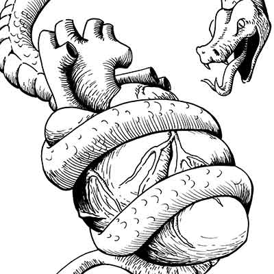 heart snake illustration